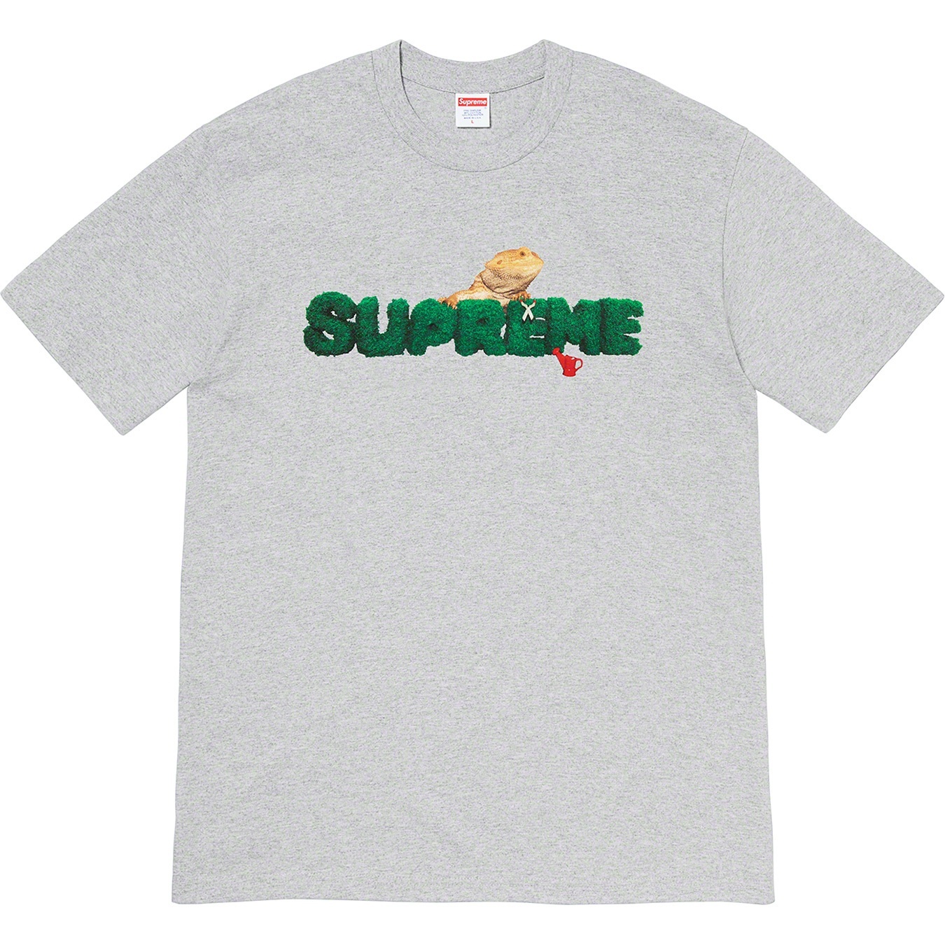 Lizard Tee view 2